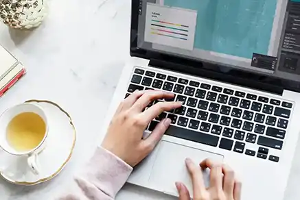 WordPress Customization