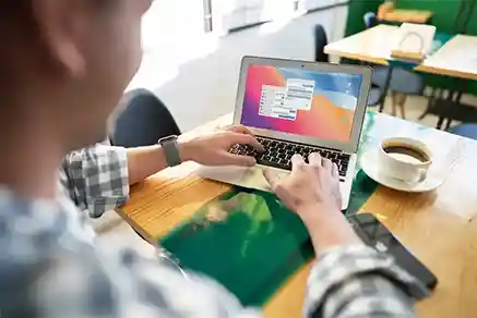 WordPress Services